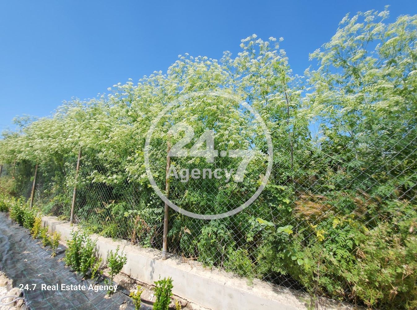 ������� ������ | Imot.bg � ����������� 5