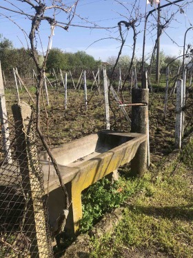 ������� ���� | Imot.bg � ����� ������ 12