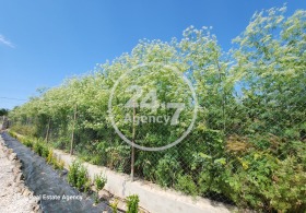 ������� ������ | Imot.bg � ����� ������ 3