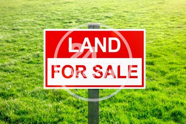 Продава ПАРЦЕЛ, с. Езерец, област Добрич