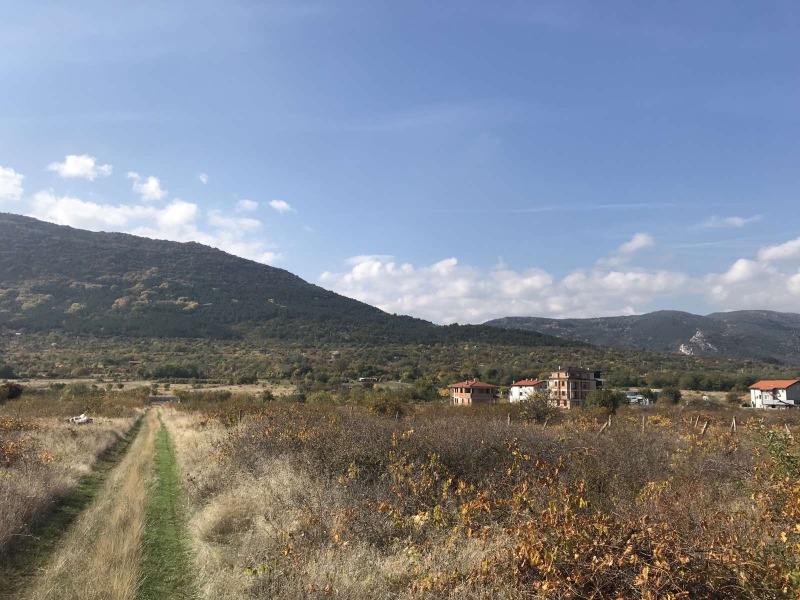 Til salgs  Land region Plovdiv , Asenovgrad , 2.9 dka | 58240613 - bilde [3]