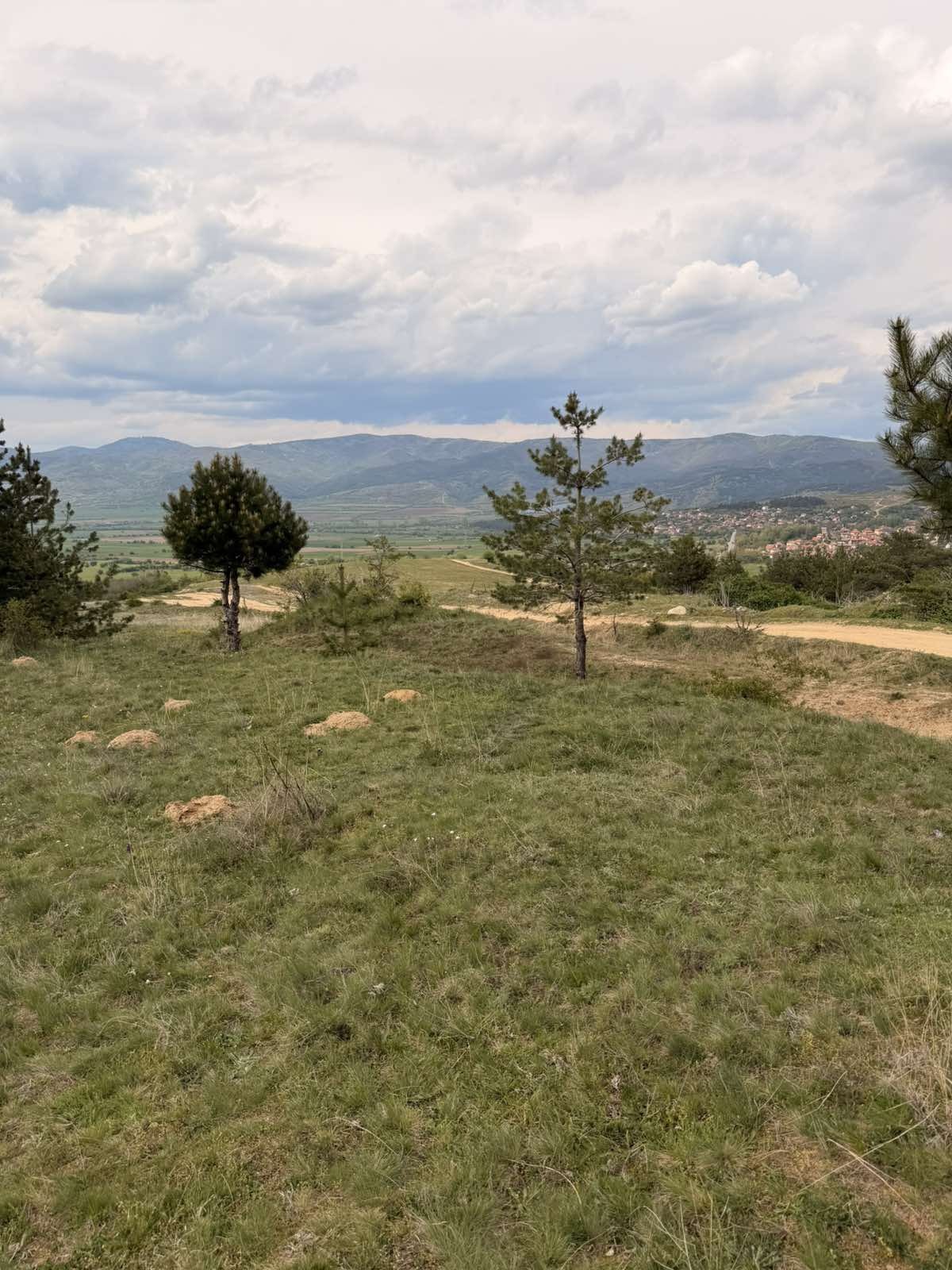 Продава ЗЕМЕДЕЛСКА ЗЕМЯ, гр. Сапарева баня, област Кюстендил