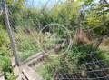 Продава ПАРЦЕЛ, с. Езерец, област Добрич, снимка 9