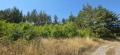Продава ПАРЦЕЛ, град София, гр. Банкя • 200000 € • 71243510 — Holmes.bg