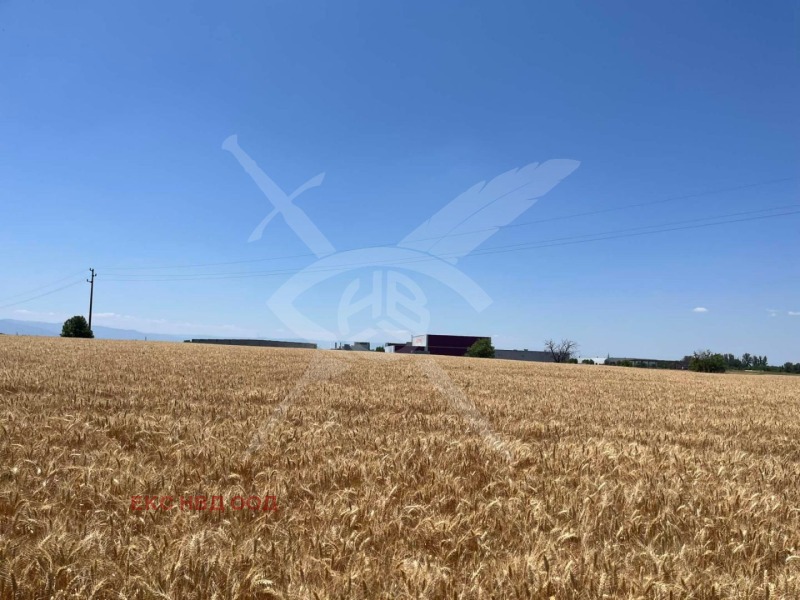 Продава ПАРЦЕЛ, област Пловдив, с. Царацово • 60000 € • 83603752 — Holmes.bg