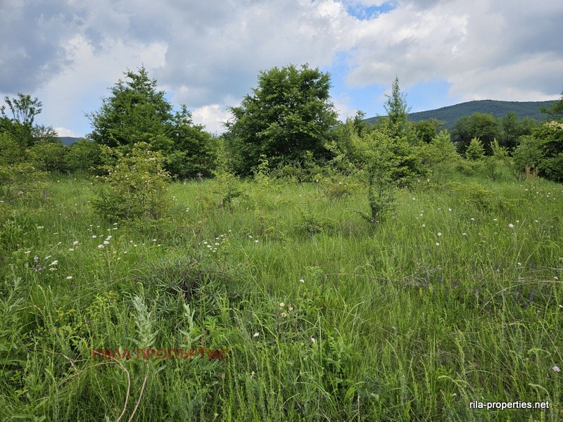 Продава ПАРЦЕЛ, с. Очуша, област София област, снимка 3 - Парцели - 52606736