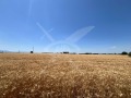 Продава ПАРЦЕЛ, област Пловдив, с. Царацово • 60000 € • 83603752 — Holmes.bg