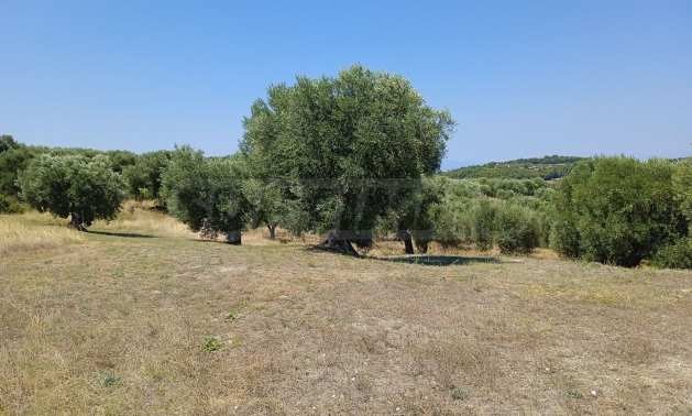 ������� ������ | Imot.bg � ����������� 2