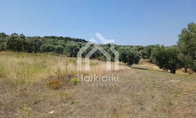 ������� ������ | Imot.bg � ����������� 16