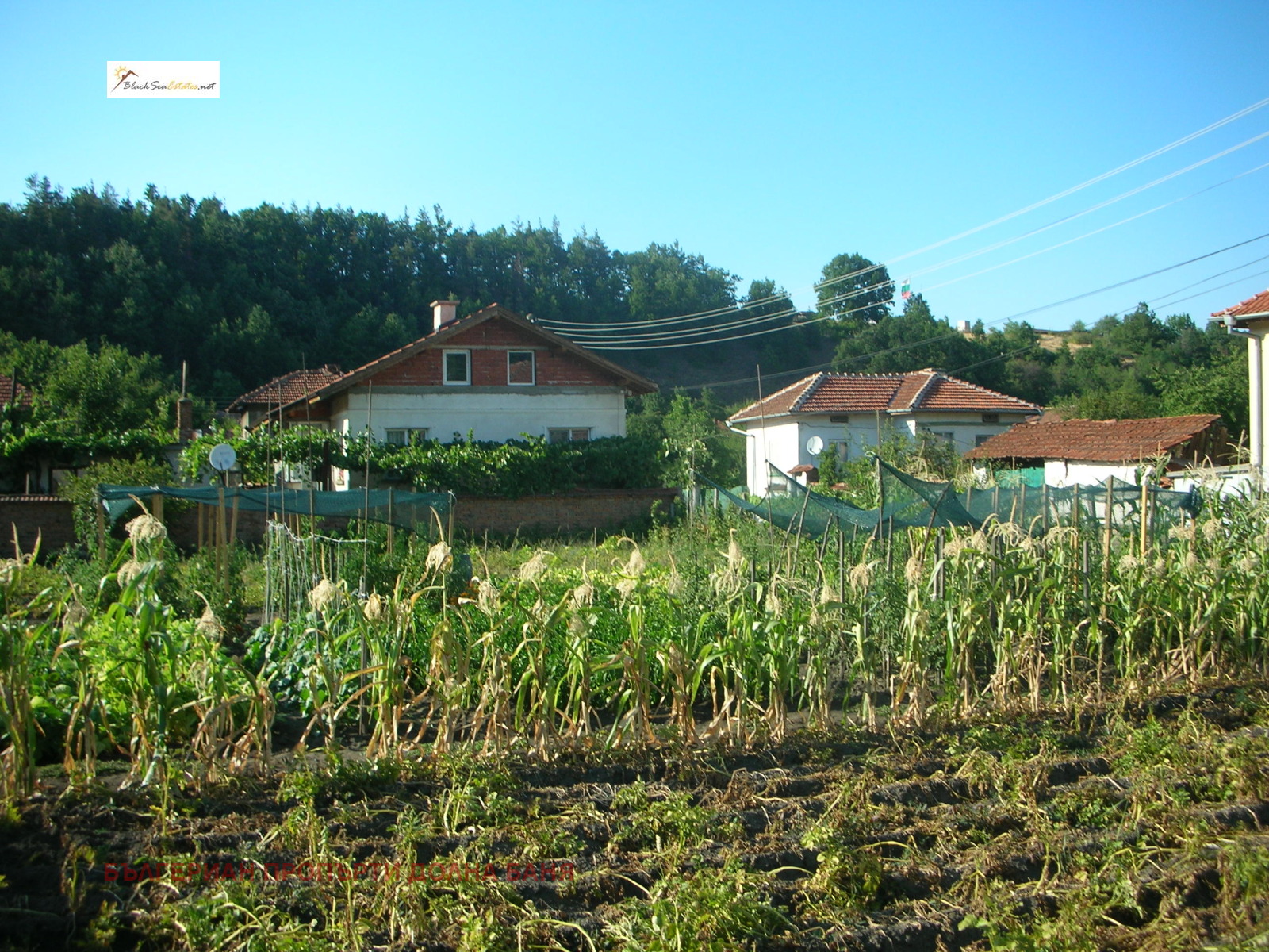 Продава ПАРЦЕЛ | Imot.bg — изображение 4