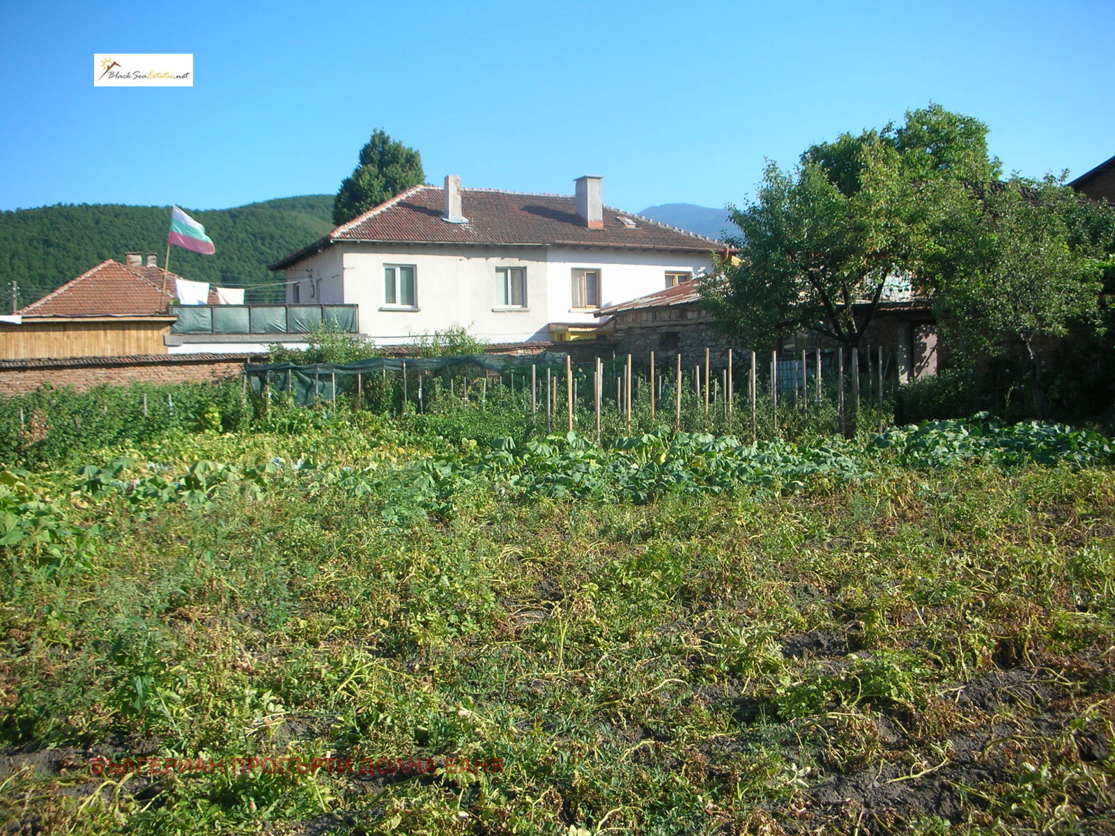 Продава ПАРЦЕЛ | Imot.bg — изображение 5