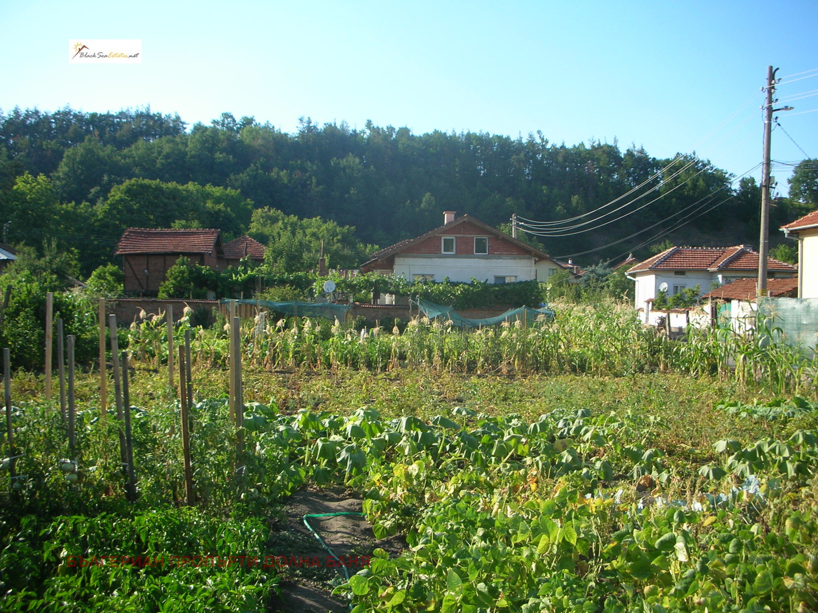 Продава ПАРЦЕЛ | Imot.bg — изображение 3