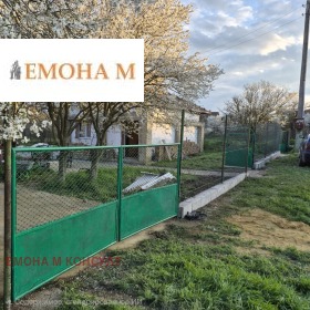 ������ ������� ����