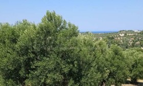 ������� ������ | Imot.bg � ����� ������ 10