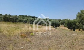 ������� ������ | Imot.bg � ����� ������ 16