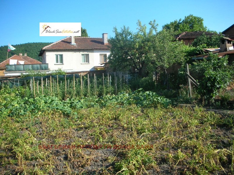 Na prodej  Spiknutí oblast Sofia , Marica , 620 m2 | 43734126 - obraz [9]
