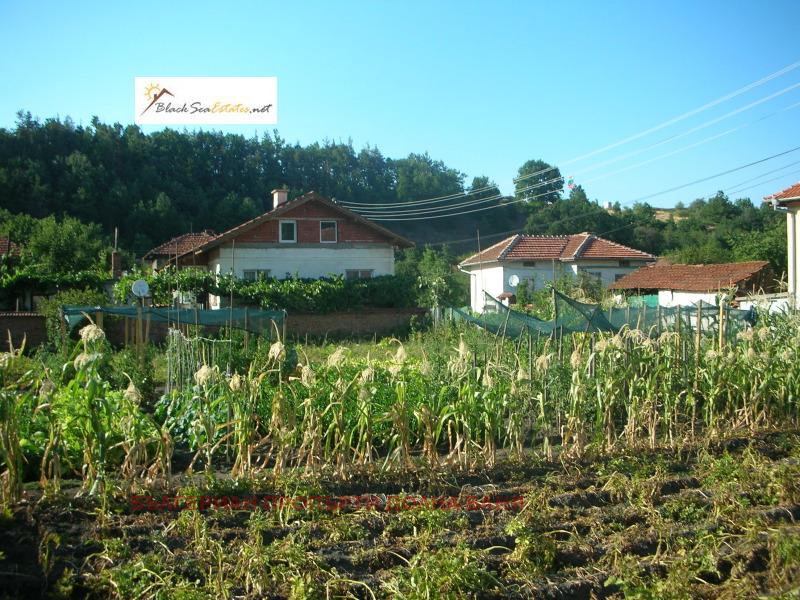 Na prodej  Spiknutí oblast Sofia , Marica , 620 m2 | 43734126 - obraz [4]