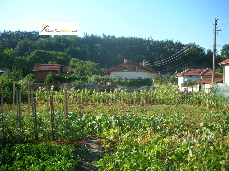 Na prodej  Spiknutí oblast Sofia , Marica , 620 m2 | 43734126 - obraz [8]