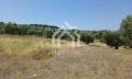 Продава ПАРЦЕЛ, Извън страната, област Извън страната, снимка 16