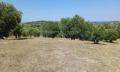 Продава ПАРЦЕЛ, Извън страната, област Извън страната, снимка 3