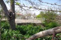 Продава ПАРЦЕЛ, област Пловдив, с. Караджово • 55000 € / 107570.65 лв. • 57764615 1