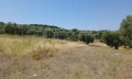 Продава ПАРЦЕЛ, Гърция, Халкидики • 370000 € / 723657.10 лв. • 43388130 1