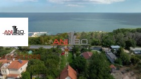 ����� ������� ����,���� �����, �-� �������