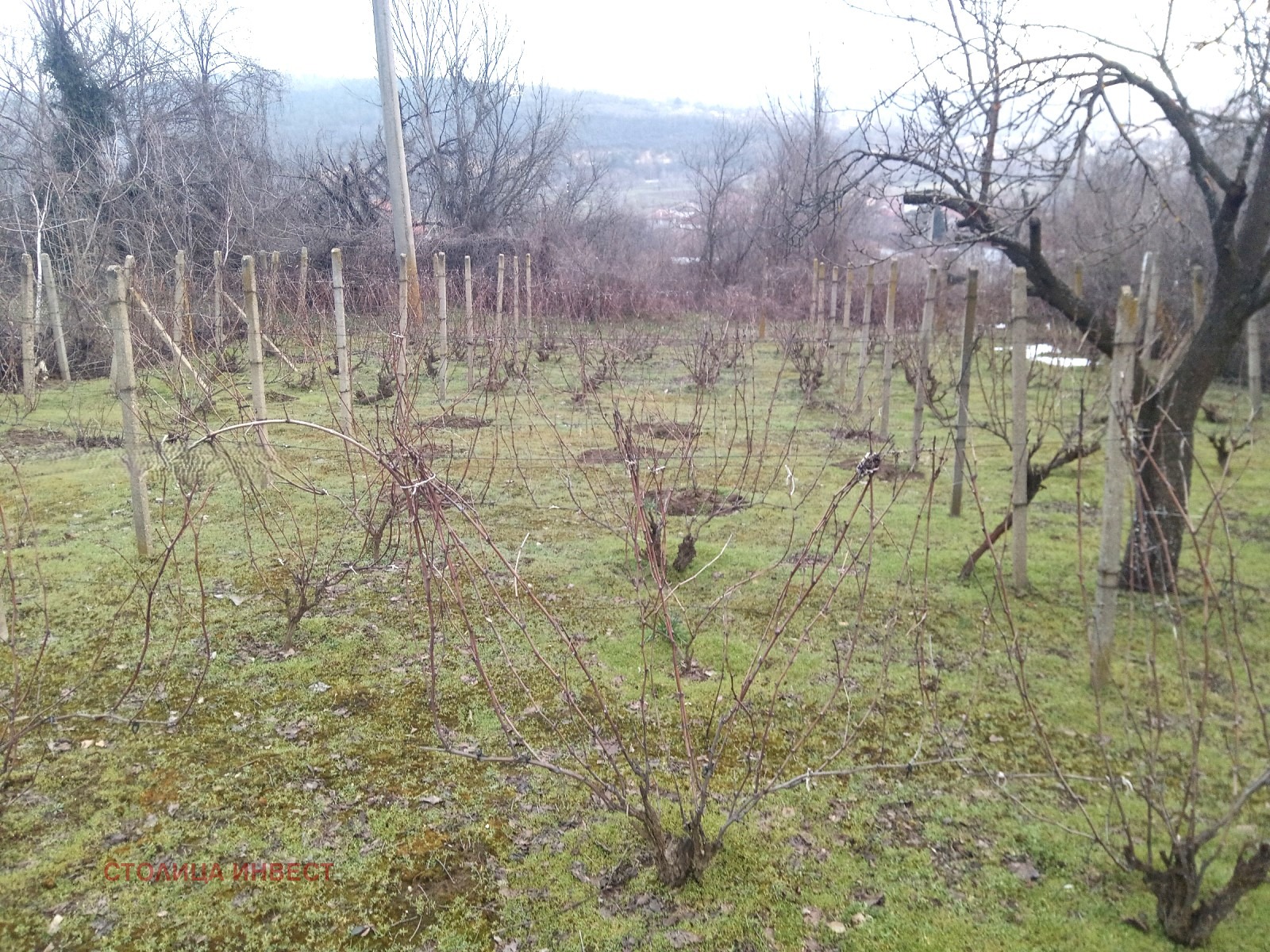 ������� ���� | Imot.bg � ����������� 8