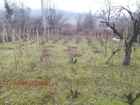 ������� ���� | Imot.bg � ����� ������ 8