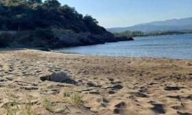 ������� ���� | Imot.bg � ����� ������ 5