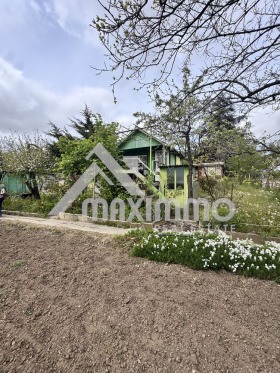 ����� ������� ������,���� �����, �-� ����������� ���