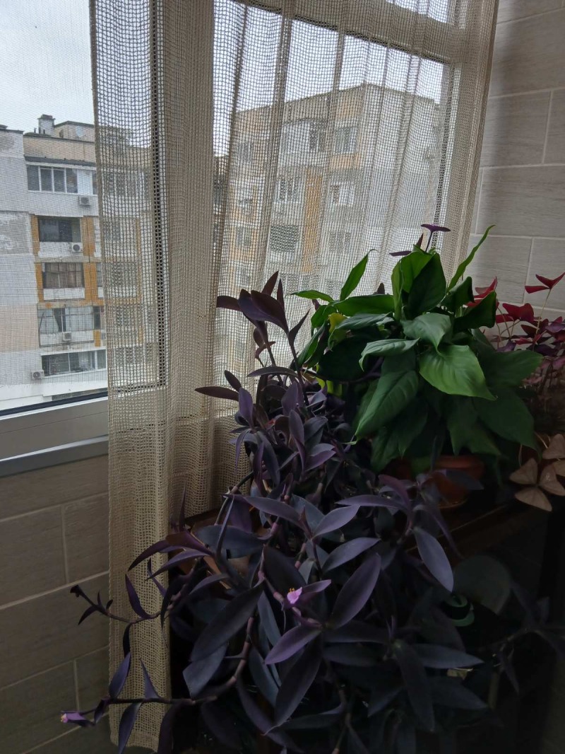 Till salu  3 sovrum Varna , Kaisieva gradina , 86 kvm | 24092092 - bild [5]