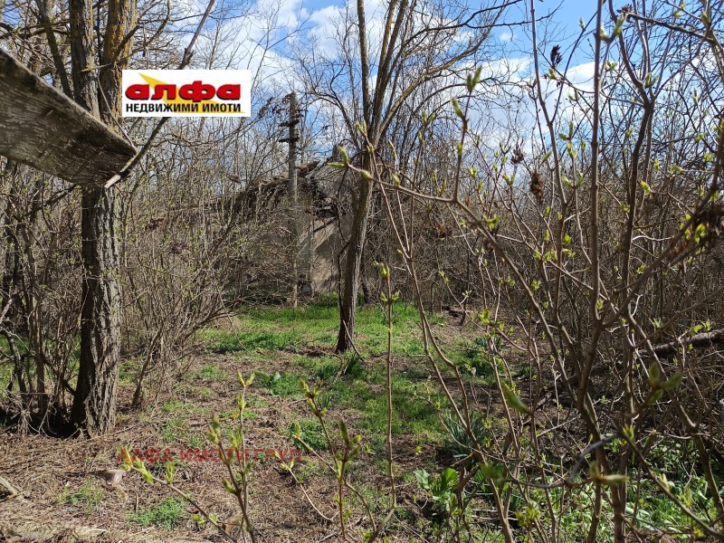 Продава  Парцел област Добрич , с. Свобода , 937 кв.м | 31260825 - изображение [3]