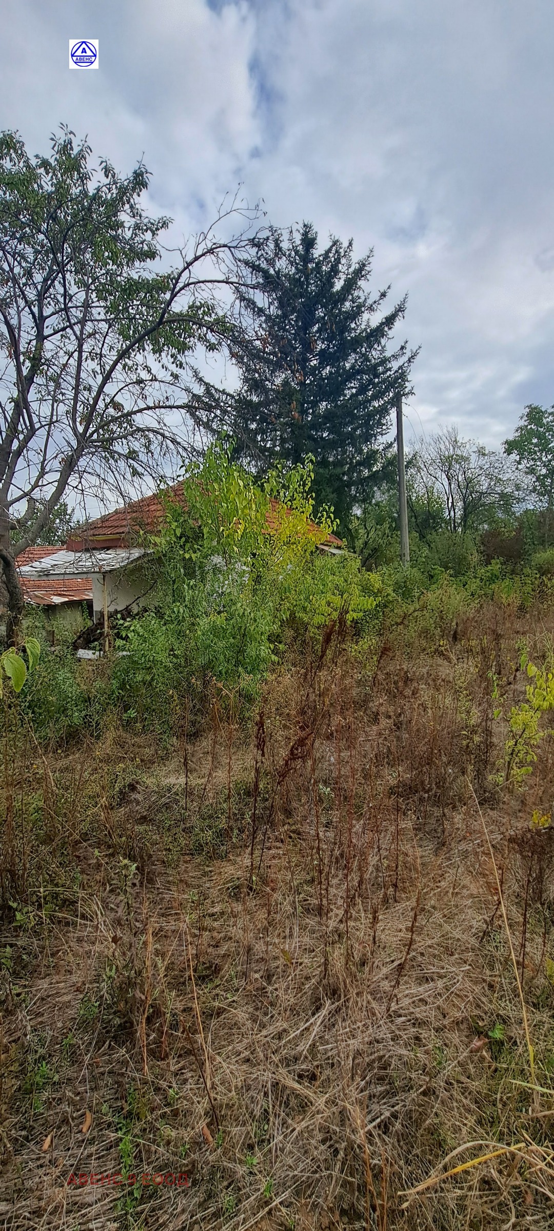 Продава ВИЛА, гр. Плевен, м-т Мъртва долина, снимка 2 - Вили - 47341652