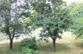 Продава 3-СТАЕН, гр. София, Красно село, снимка 5