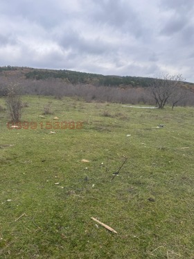 ������� ������ | Imot.bg � ����� ������ 4