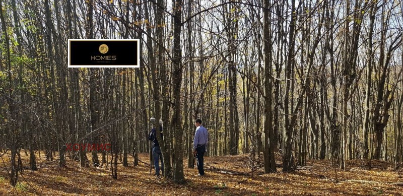 Продава ПАРЦЕЛ, гр. Априлци, област Ловеч, снимка 15 - Парцели - 52157306