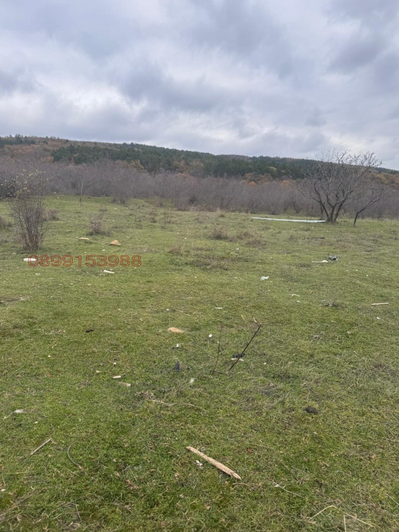 Продава ПАРЦЕЛ, с. Кошарица, област Бургас, снимка 4 - Парцели - 53576720