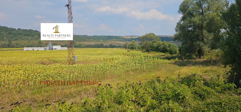 In vendita  Terra regione Pernik , Kovachevtsi , 6.449 dka | 91033106