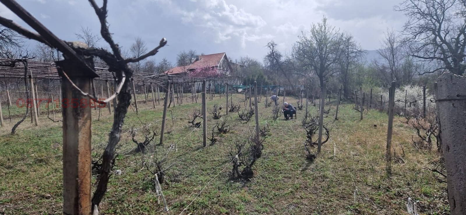 Продава ВИЛА, гр. Враца, Студентски град, снимка 2 - Вили - 54720175
