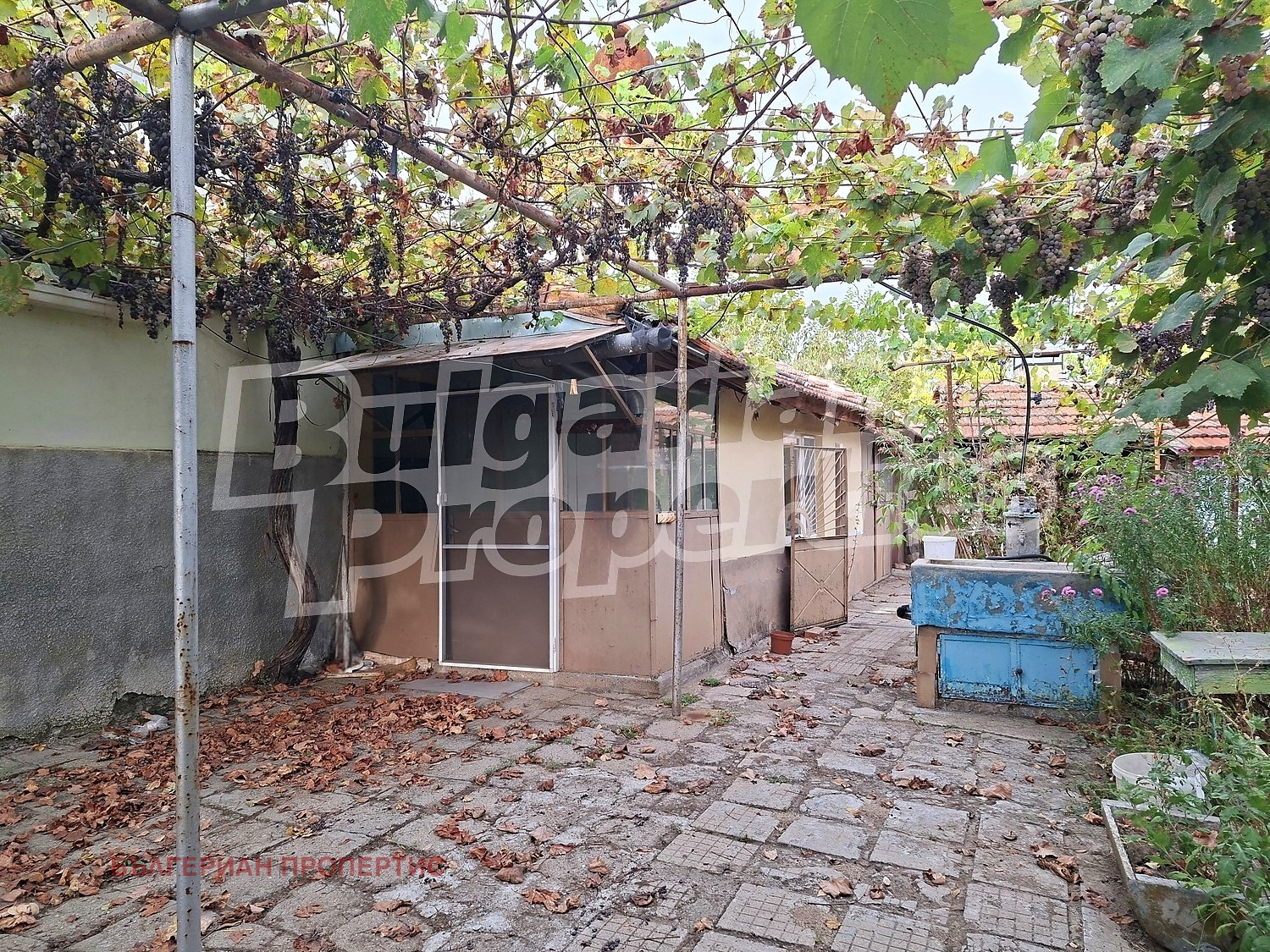 ������� ���� | Imot.bg � ����������� 2