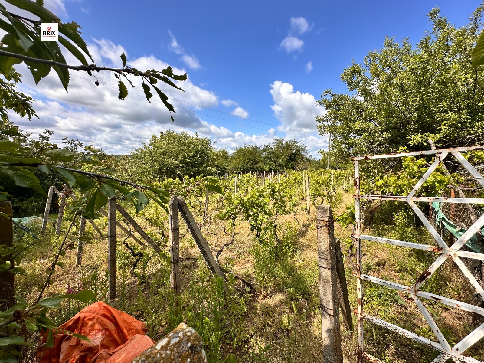 Продава ПАРЦЕЛ | Imot.bg — изображение 2