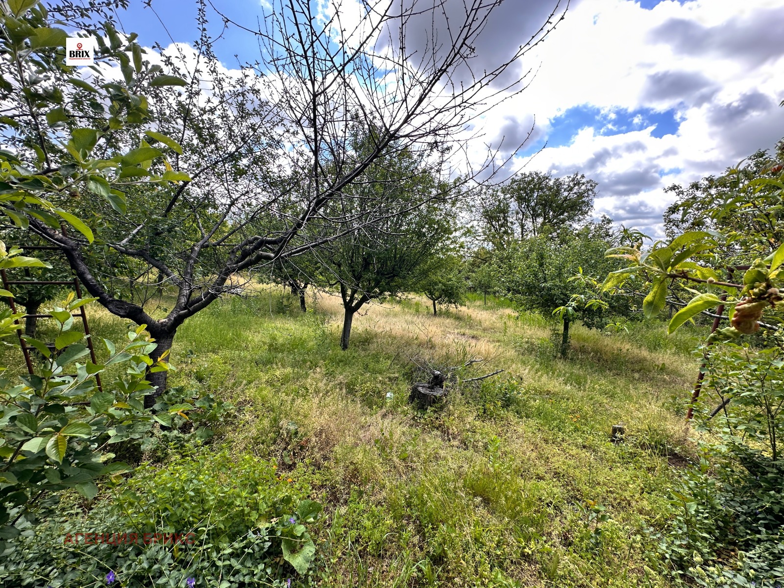 Продава ПАРЦЕЛ | Imot.bg — изображение 3