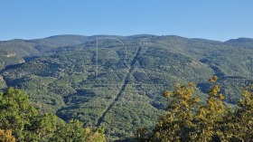 ������� ������ | Imot.bg � ����� ������ 6