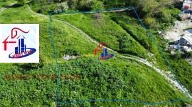 ����� ������� ������,���� �����, �������