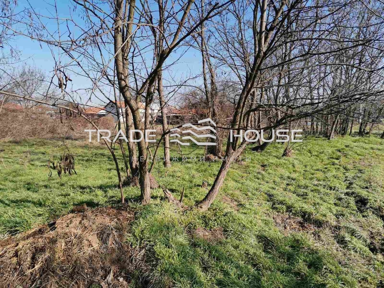 Продава ПАРЦЕЛ, с. Главатар, област Пловдив, снимка 2 - Парцели - 49285330