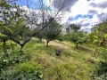 Продава ПАРЦЕЛ, град Русе, в.з. 9-ти километър • 12400 € / 24252.29 лв. • 53187374 3