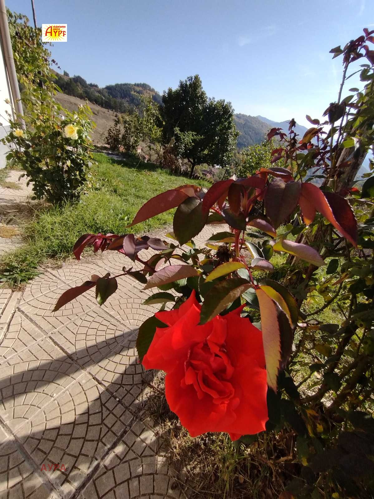 Продава КЪЩА | Imot.bg — изображение 11