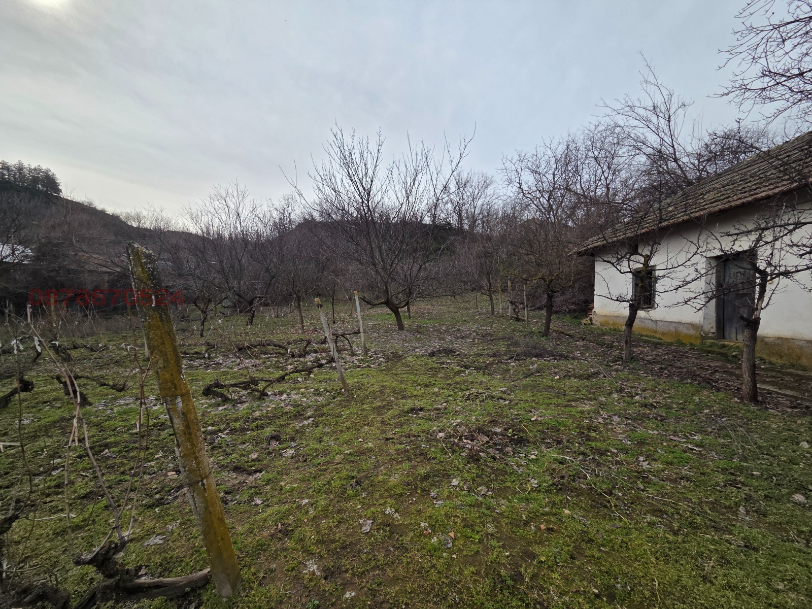 ������� ���� | Imot.bg � ����������� 6