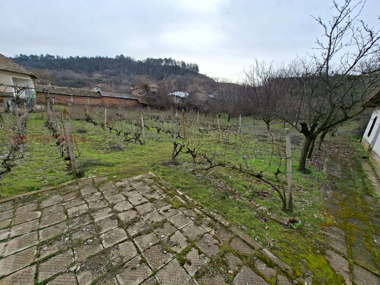 ������� ���� | Imot.bg � ����������� 7